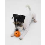 Игрушка для собак Barbaks Мяч-погрызайка оранжевый внутрь можно класть лакомства диаметр 6.3см резина