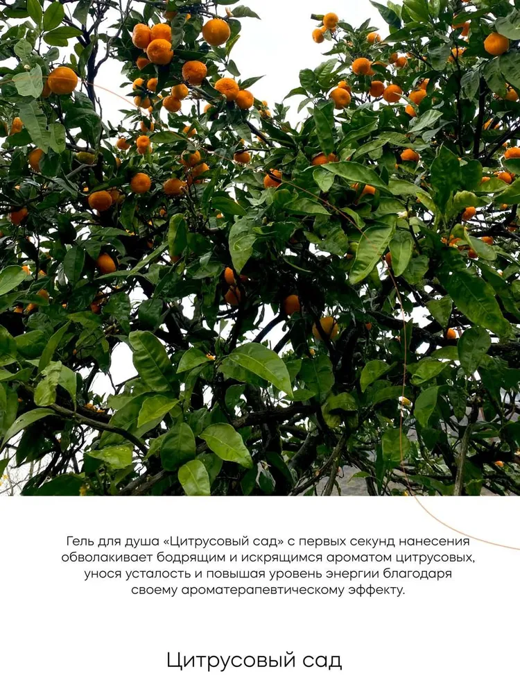 Гель Краснополянская косметика 250 мл - фото 3