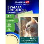 Художественная бумага Brauberg 20 лист.