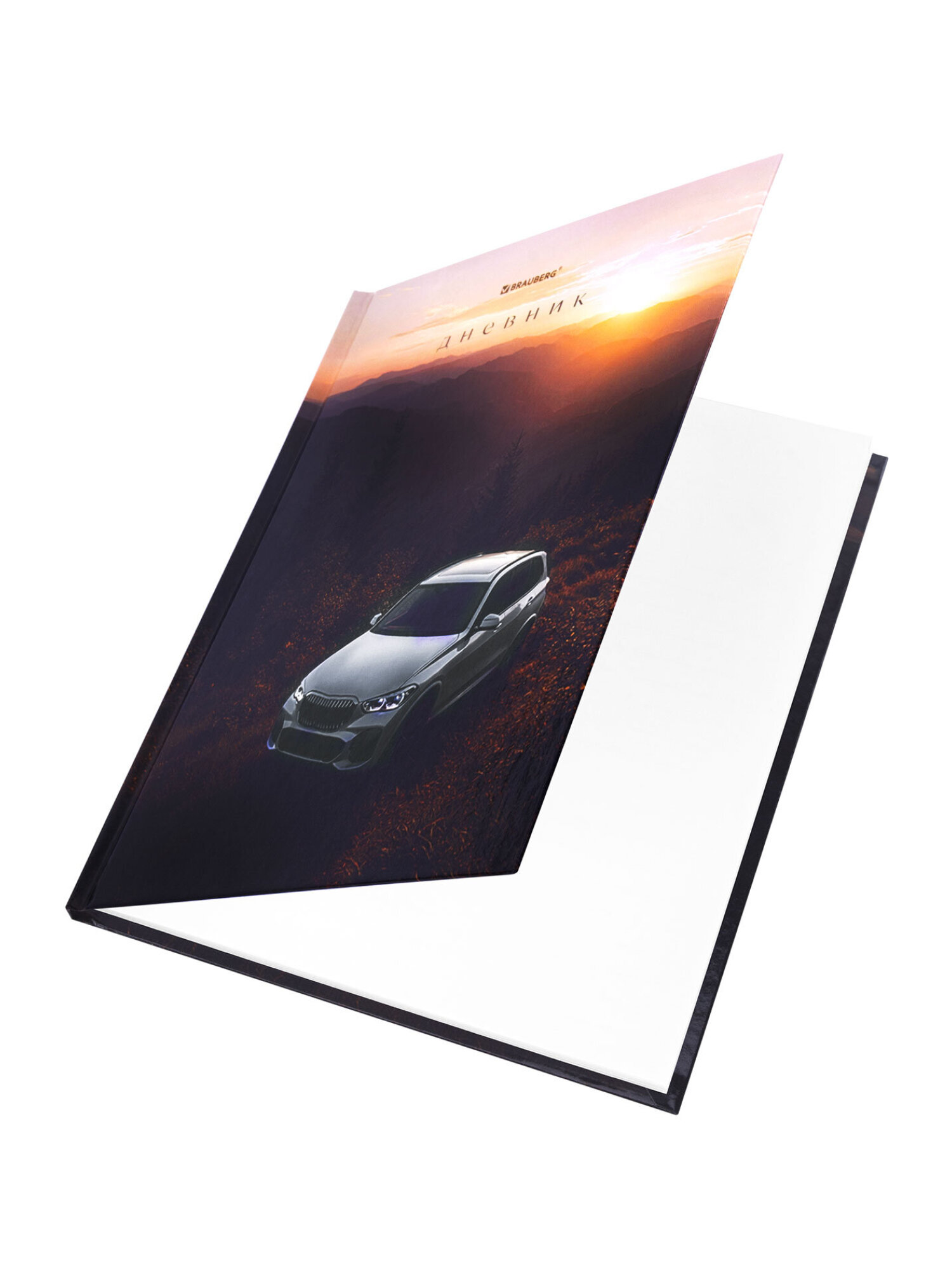 Дневник школьный Brauberg для мальчика 1-11 класс твердая обложка 40 листов - фото 3