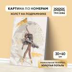 Картина по номерам ТРИ СОВЫ Балерина