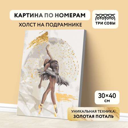 Картина по номерам ТРИ СОВЫ Балерина
