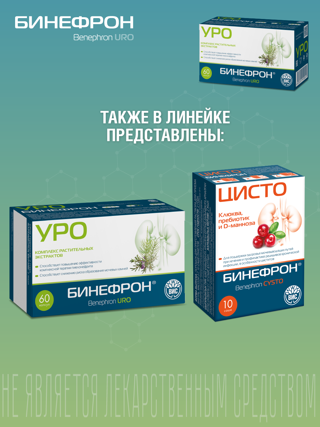 БАД ВИС Бинефрон УРО капсулы №60 - фото 12