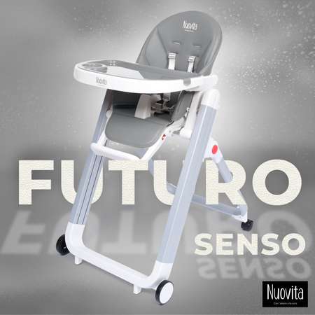 Стульчик для кормления Nuovita Futuro Senso классический
