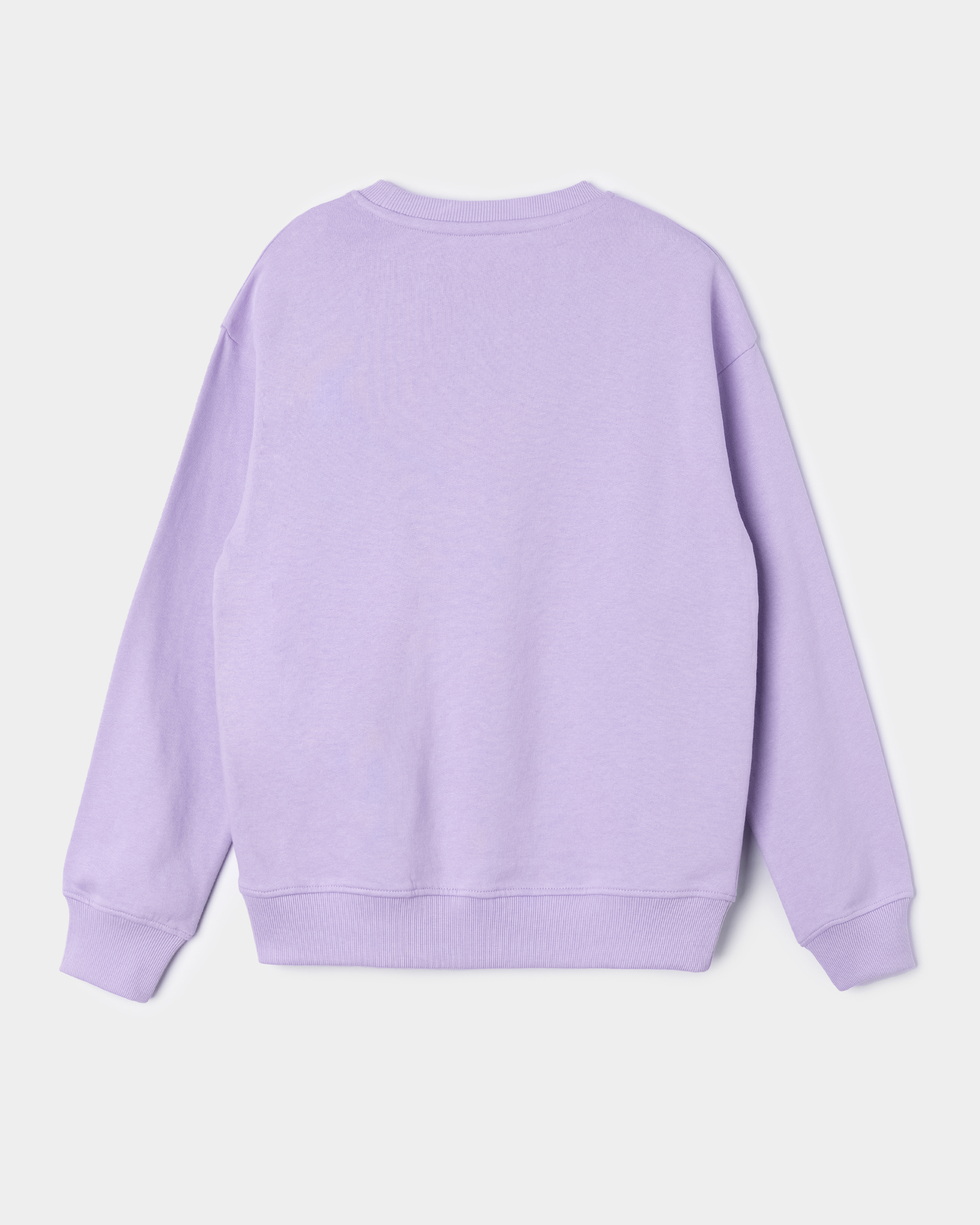 Свитшот Futurino S26FU3-05MP tg-77 - фото 3