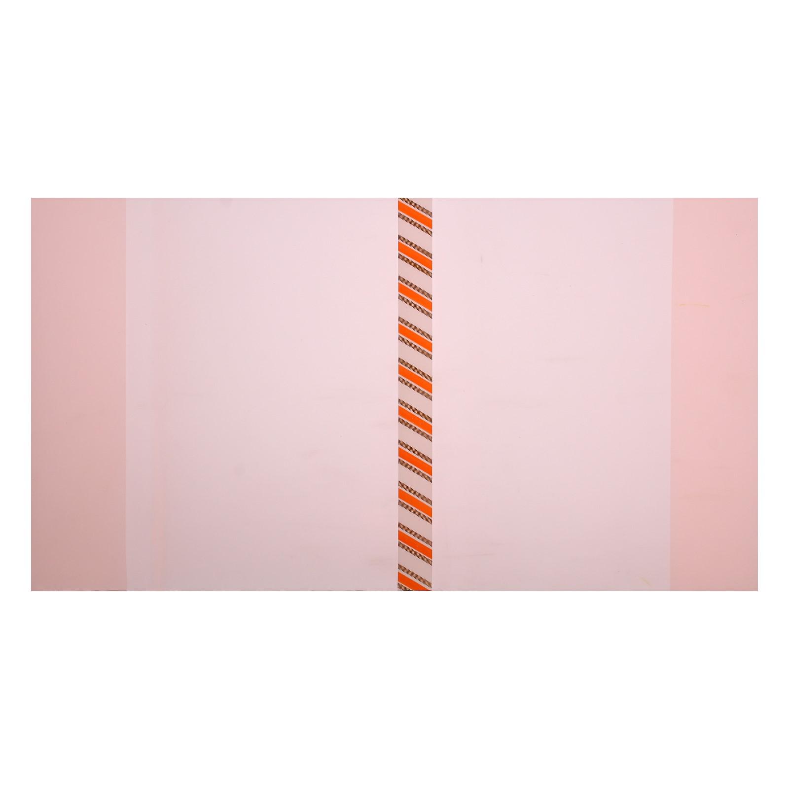 Обложка Calligrata 5 шт. - фото 3