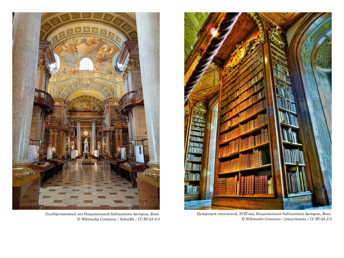 Книга КОЛИБРИ БП Барбье Ф История библиотек Коллекционеры Тексты Здания - фото 11