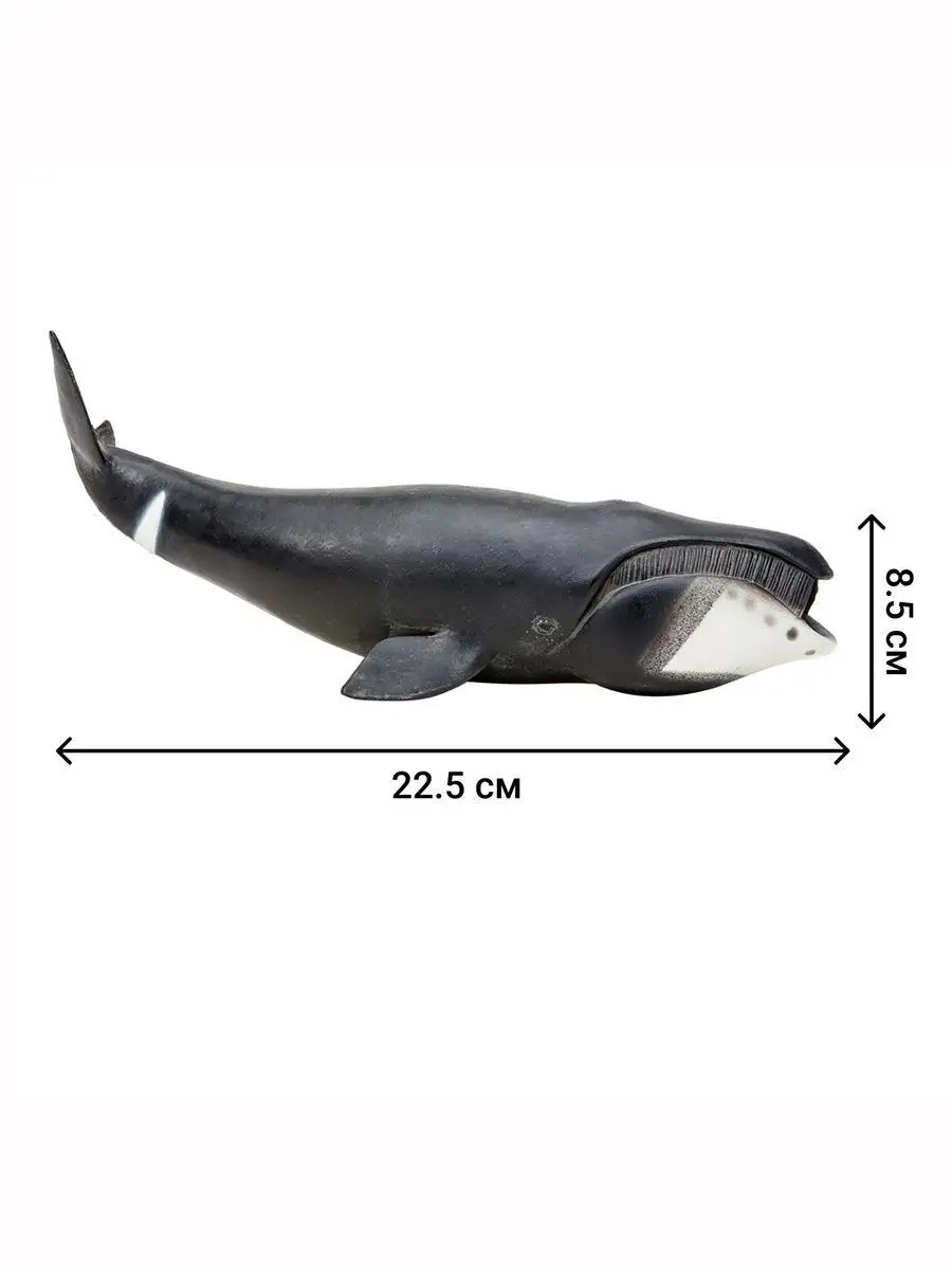 Игровой набор Masai Mara Мир морских животных - фото 5