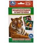 Настольная игра УМка