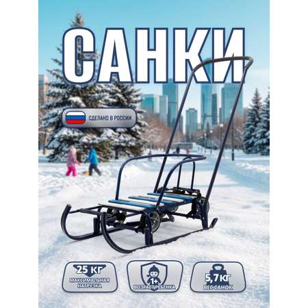 Санки NiKA kids Т6У/С
