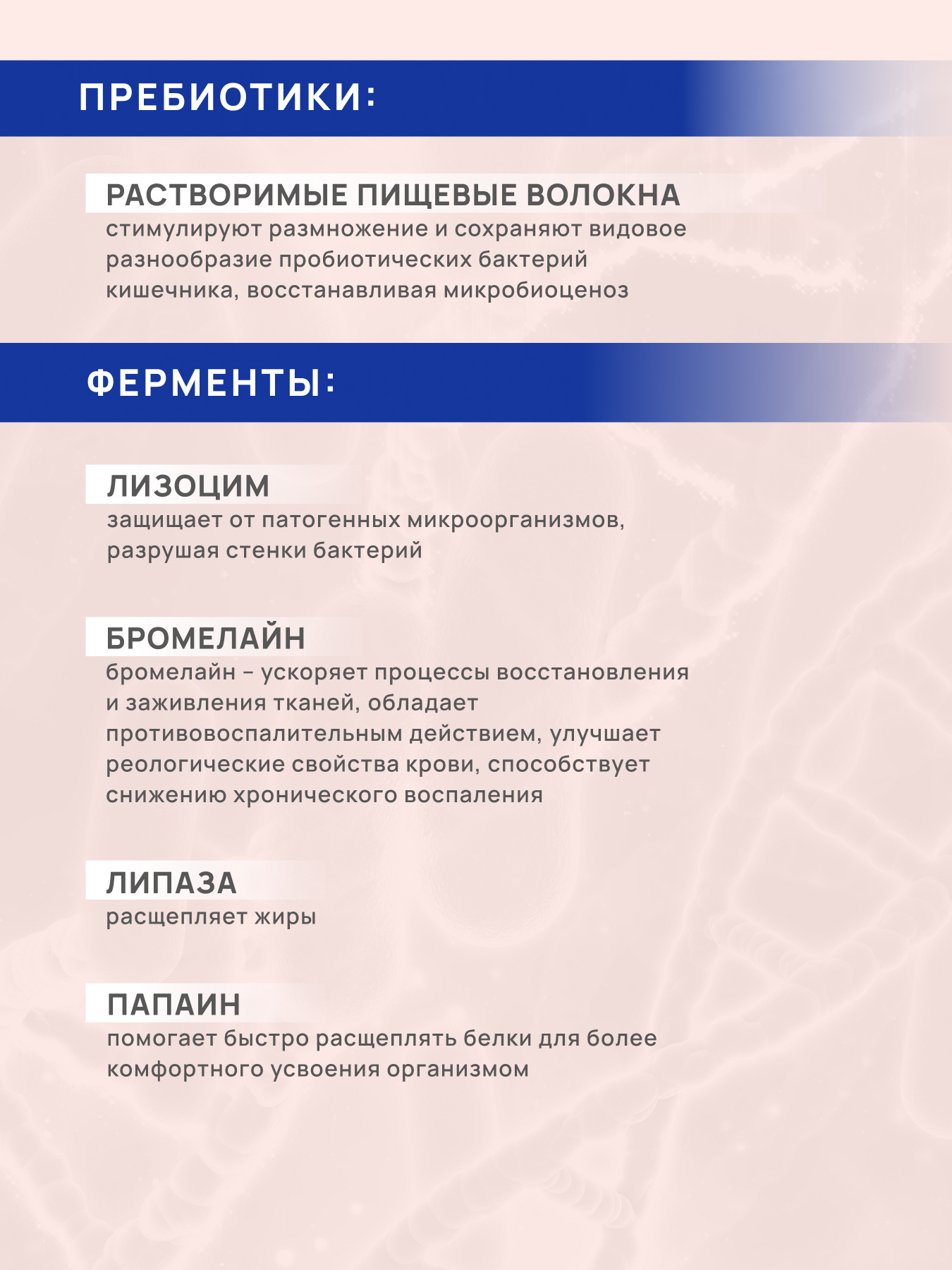 Метаболическая детоксикация Арт Лайф Энзимобакт, 60 капсул. - фото 5