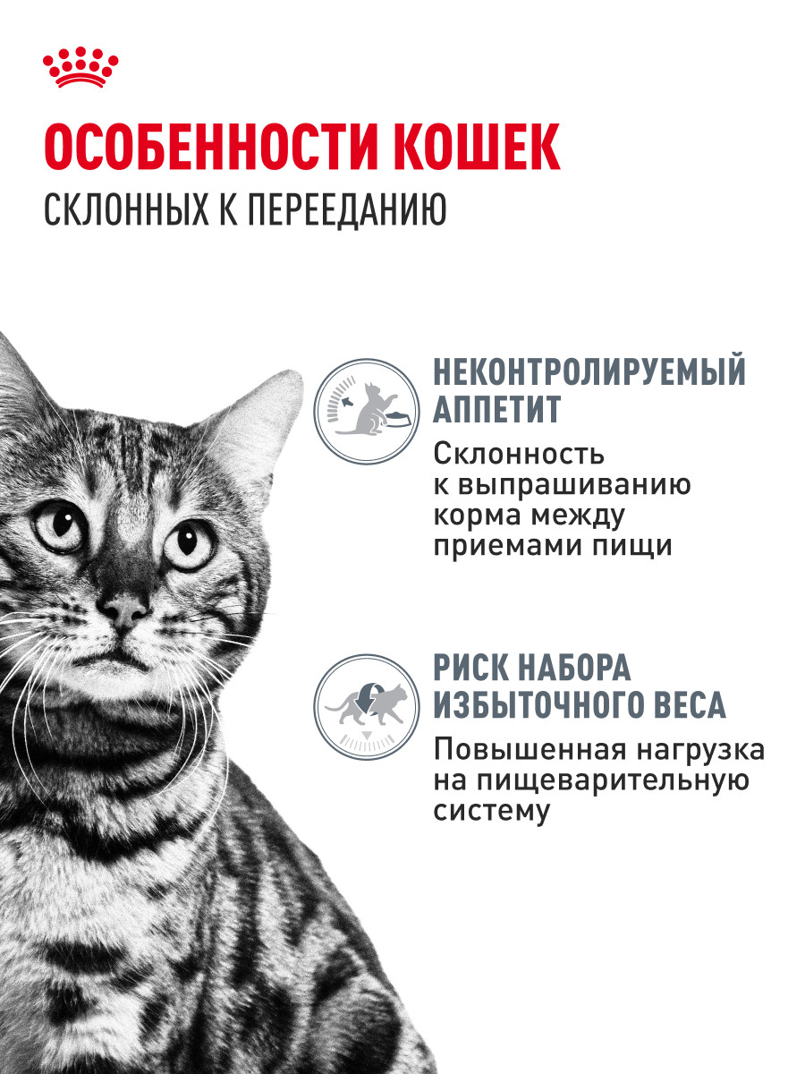 Корм для кошек ROYAL CANIN Care Аппетайт контроль соус пауч 85г - фото 2