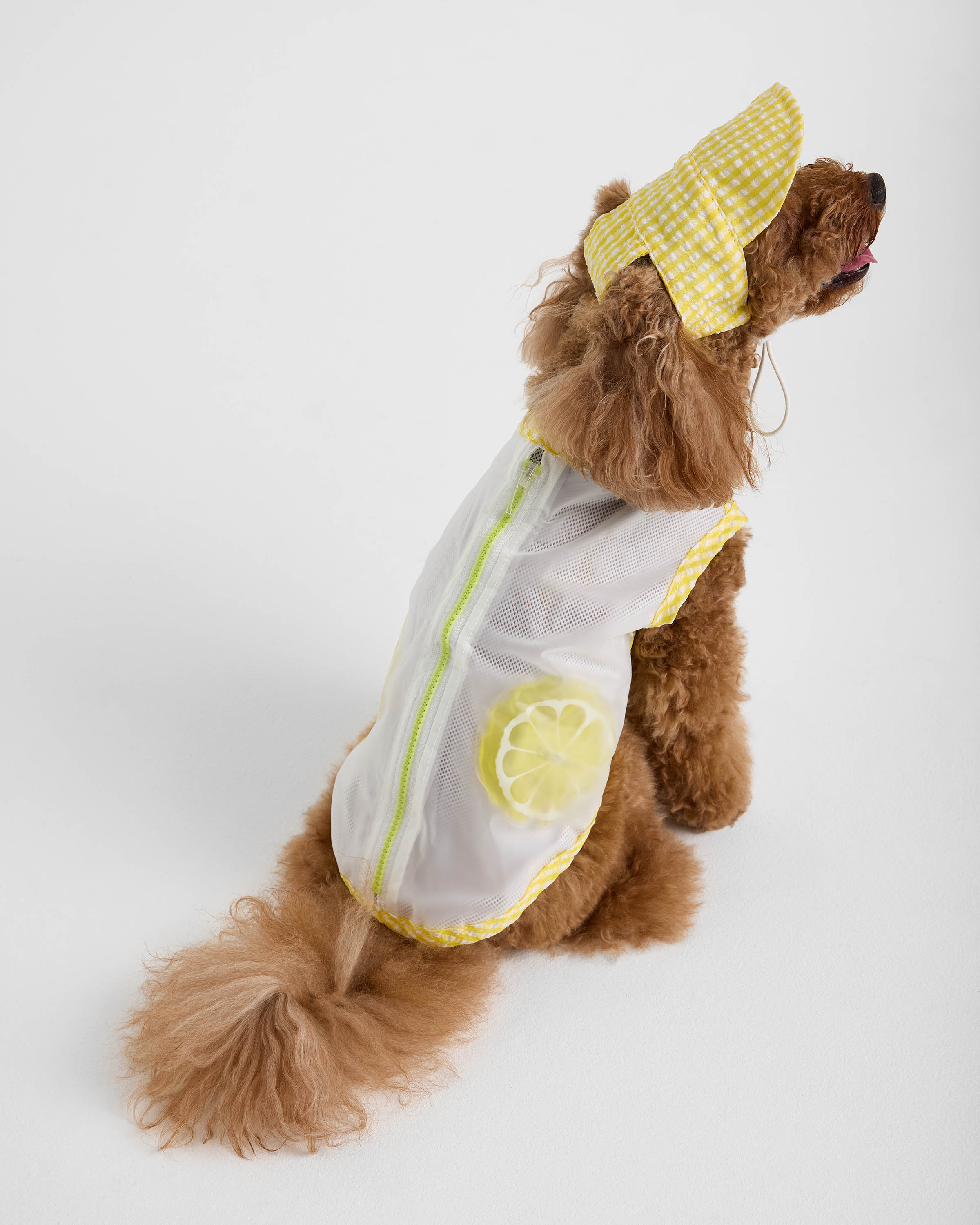 Костюм для собак и кошек Зоозавр - фото 4