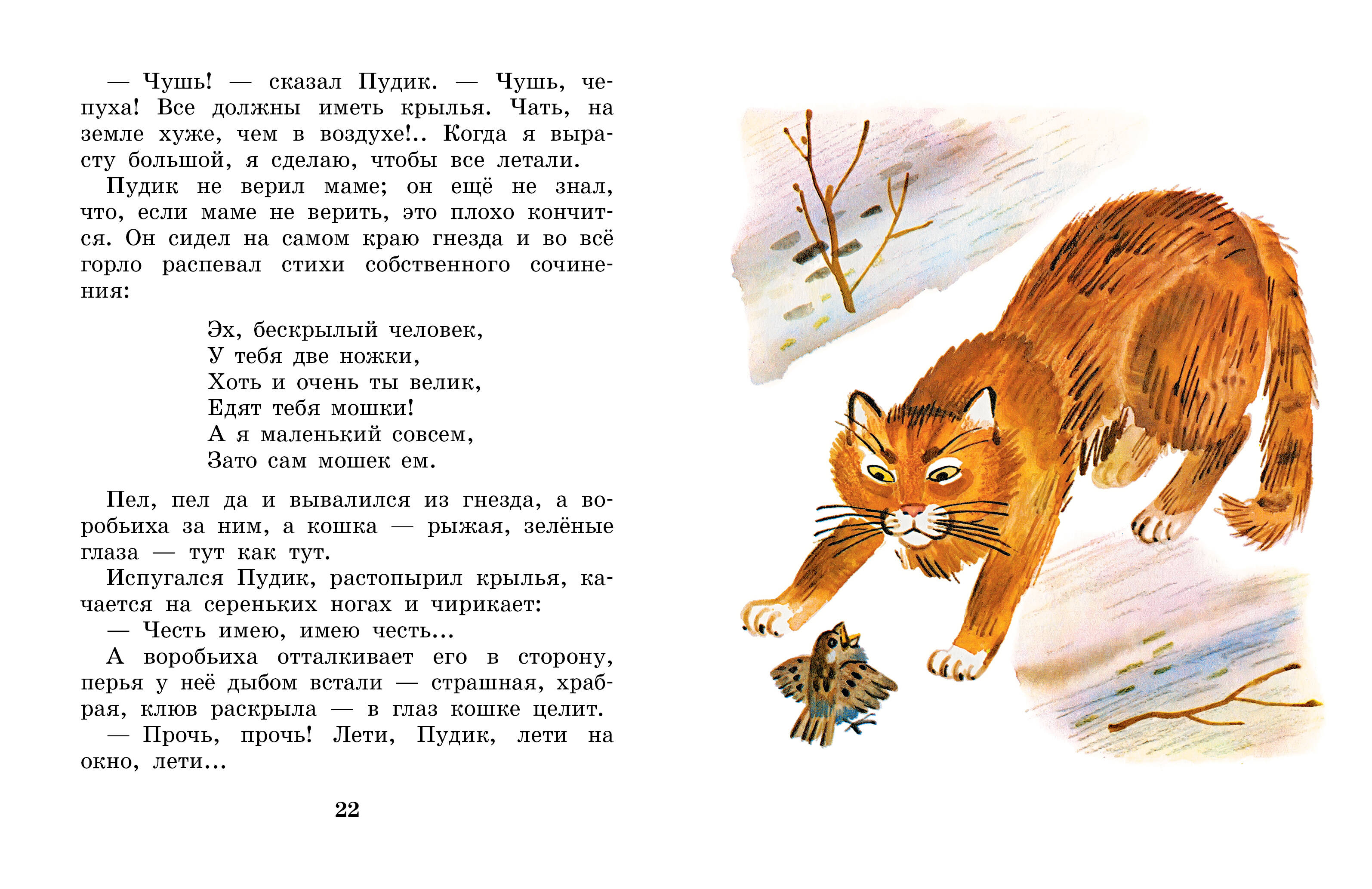 Книга АСТ Случай с Евсейкой - фото 8