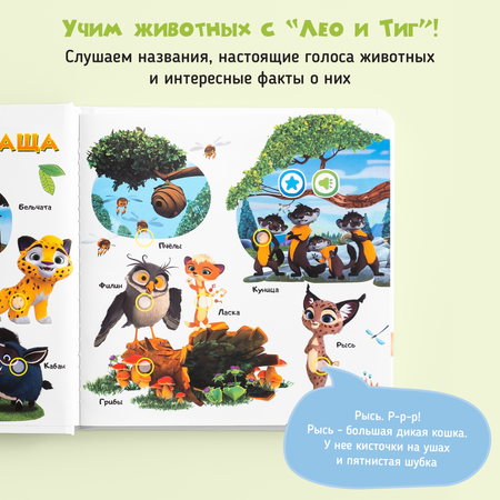 Говорящая книжка BertToys Нажималка маленькая \"Учимся с мультяшками\"