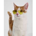 Очки для собак и кошек Зоозавр