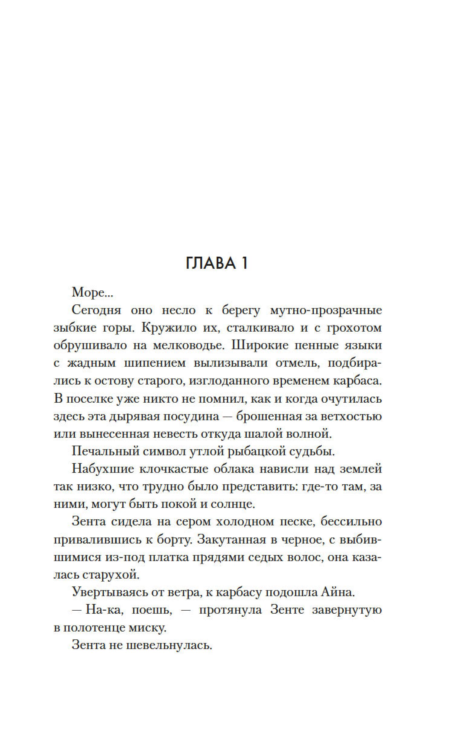 Книга АЗБУКА Долгая дорога в дюнах. - фото 5