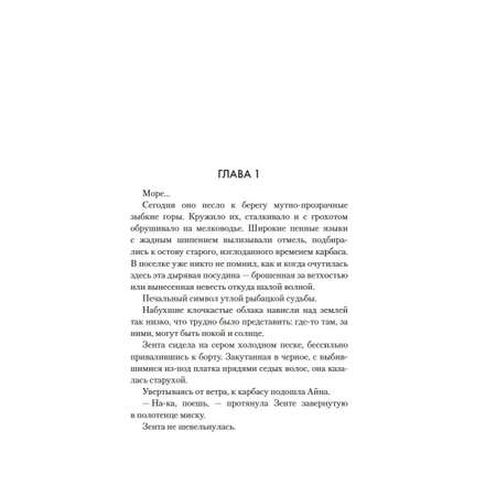 Книга АЗБУКА Долгая дорога в дюнах.