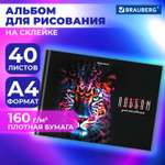 Альбом Brauberg А4