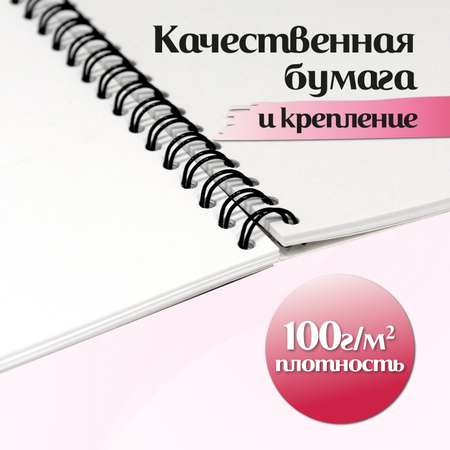 Альбом ШКОЛЬНЫЙ МИР Милые котята А4 40 лист. 2 шт.