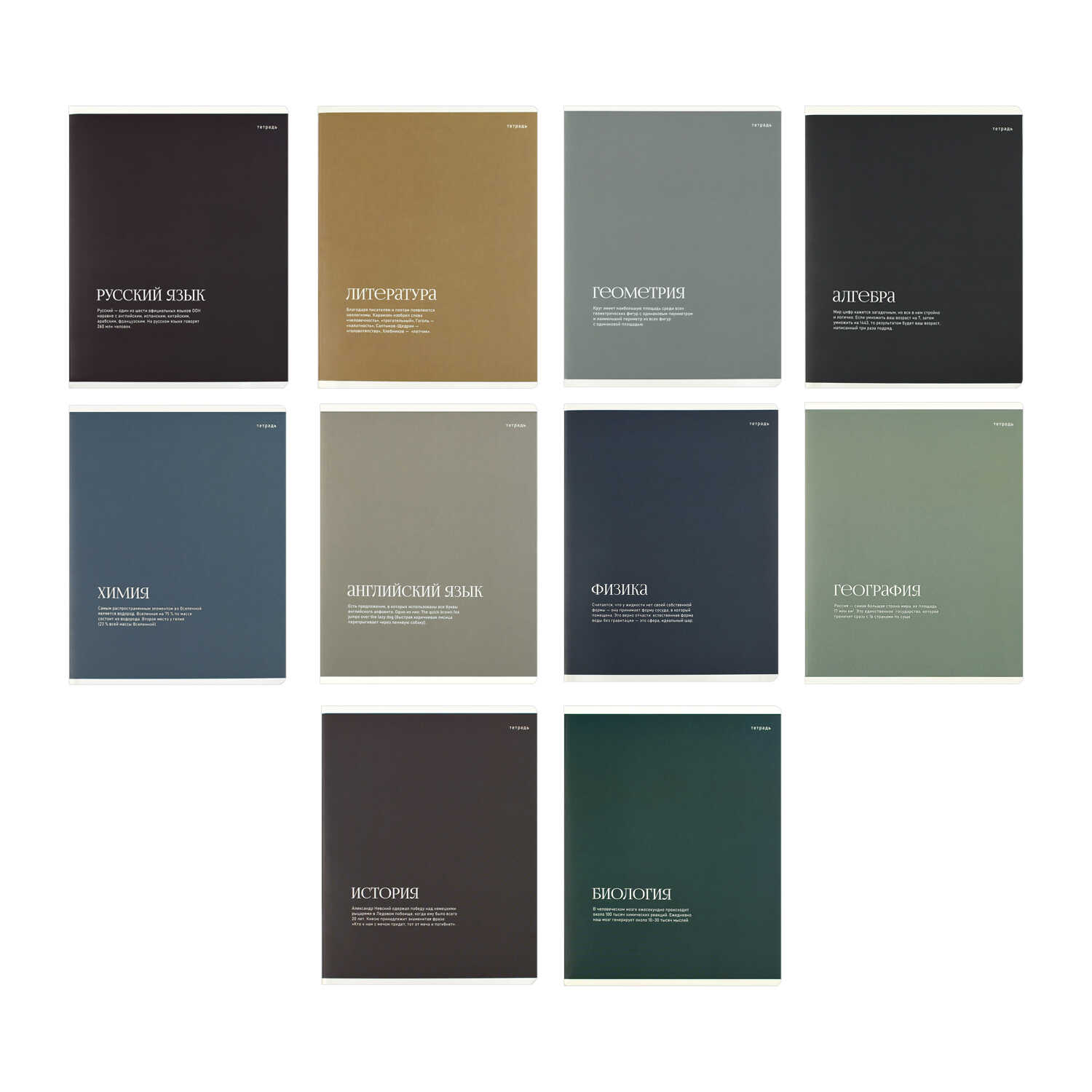 Тетрадь Феникс + 48 лист. 10 шт. (Алгебра, Геометрия, Физика, История, Биология, География, Химия, Английский язык, Русский язык, Литература) - фото 1