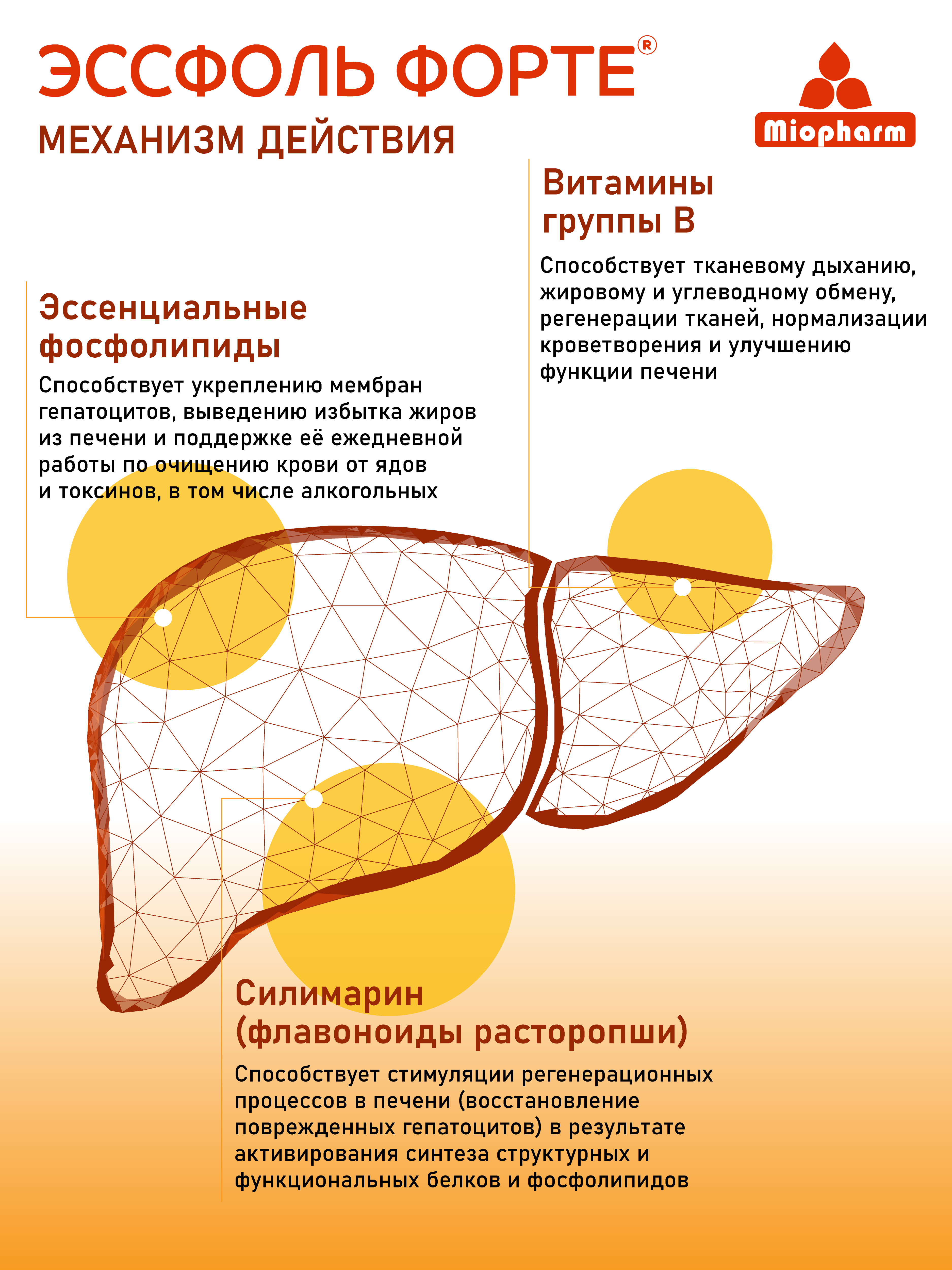 Эссфоль Миофарм для печени - фото 2