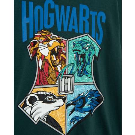 Лонгслив Harry Potter