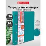 Тетрадь со сменным блоком Brauberg клетка 120 лист.