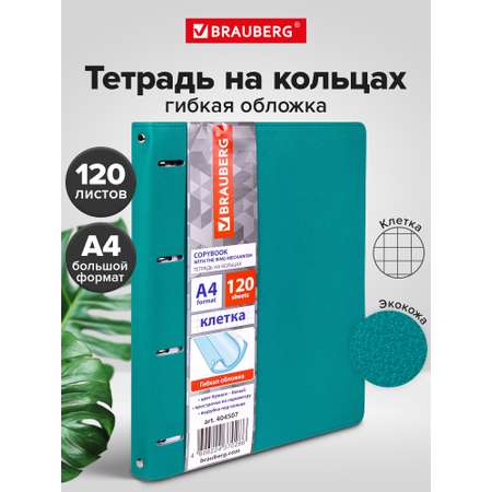 Тетрадь со сменным блоком Brauberg клетка 120 лист.