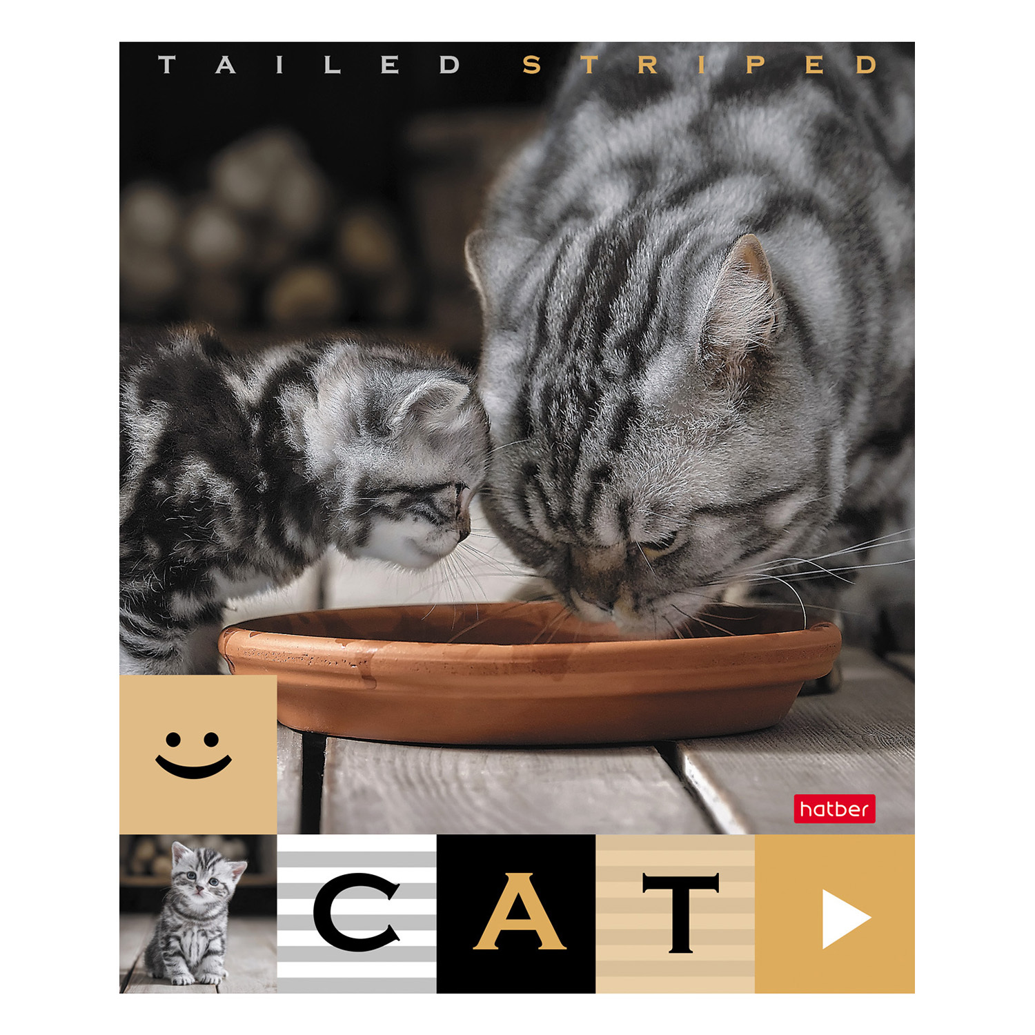 Общая тетрадь Hatber клетка 40 лист. в ассортименте - фото 5