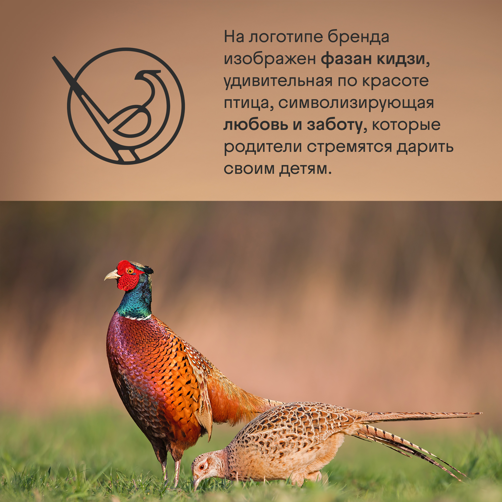 Автокресло Kidzi BRO i-SIZE Isofix 3 (22-36 кг) серый - фото 14