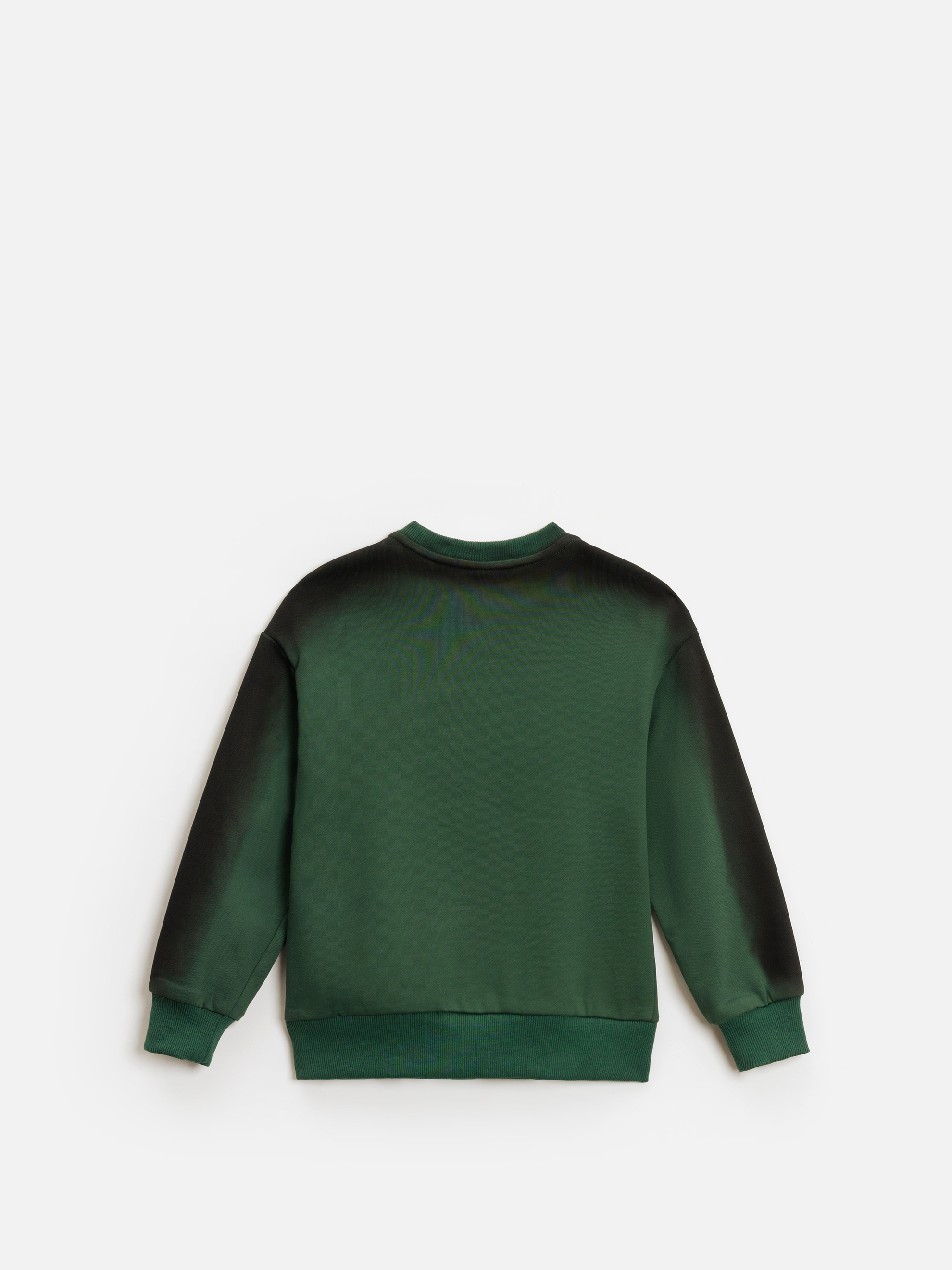 Свитшот Acoola 20120170204_0095340 - фото 4