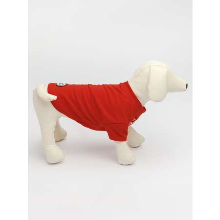 Футболка для собак PIFPAF DOG