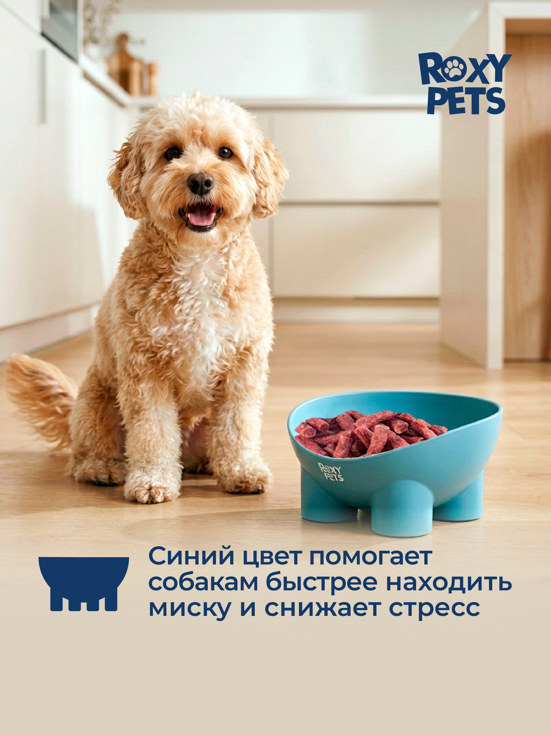 Миска для кошек и собак ROXY PETS 300 мл - фото 5