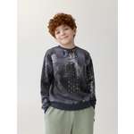 Свитшот Lassie