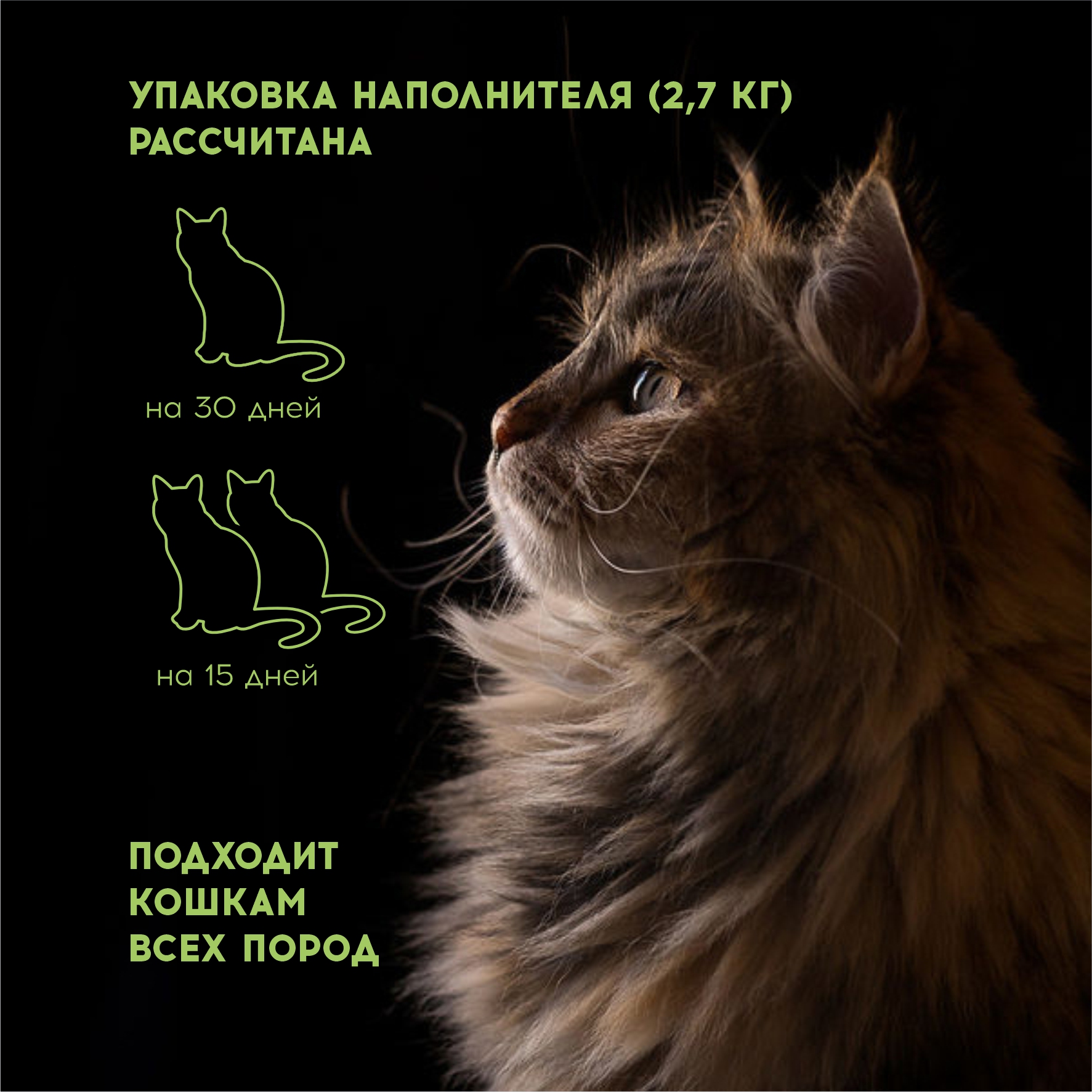 Наполнитель для кошачьего туалета Homzen Tofu Зеленый чай комкующийся 6л - фото 4