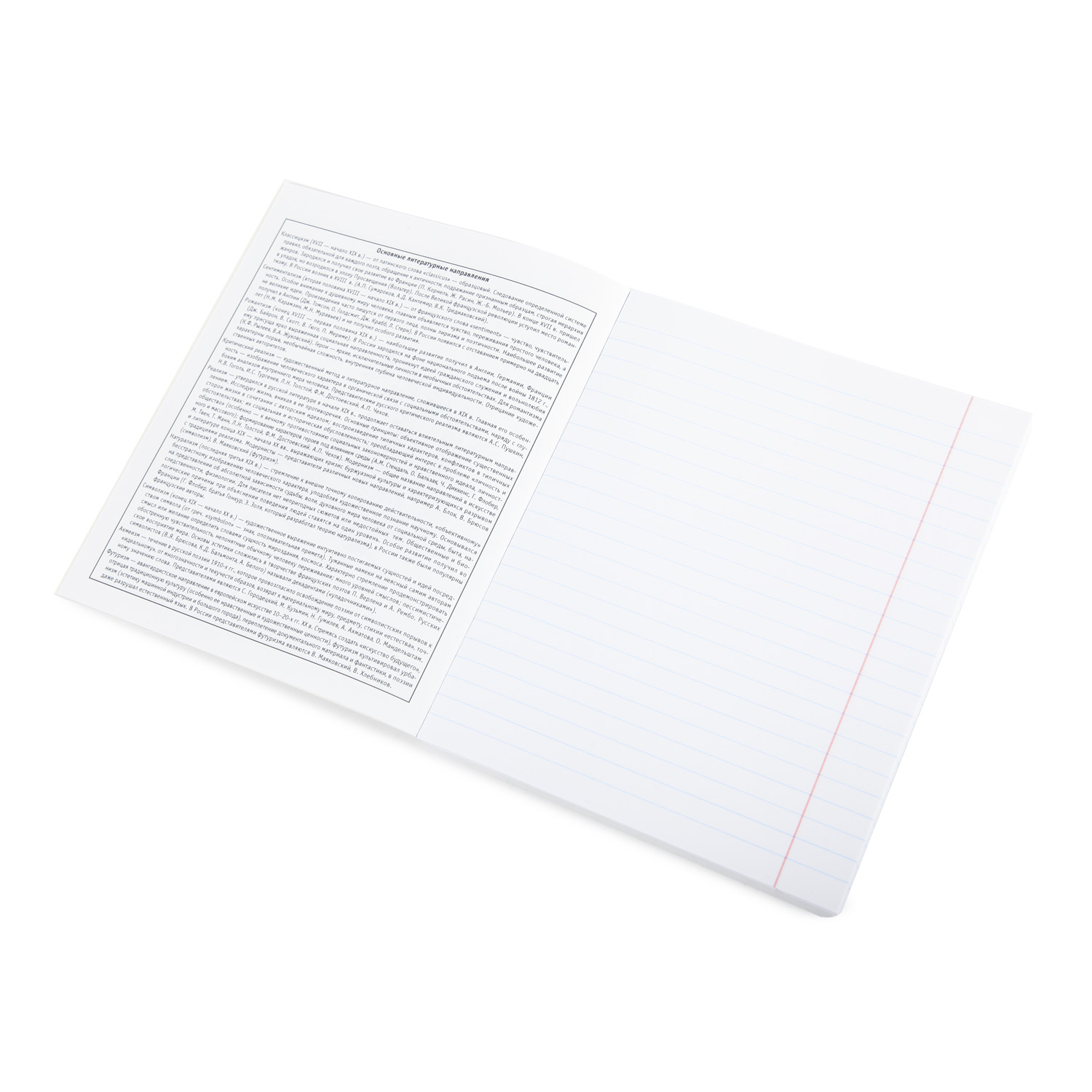 Тетрадь Erhaft (Литература) - фото 2