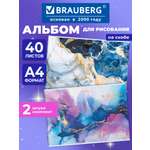 Альбом Brauberg А4 40 лист. 2 шт.