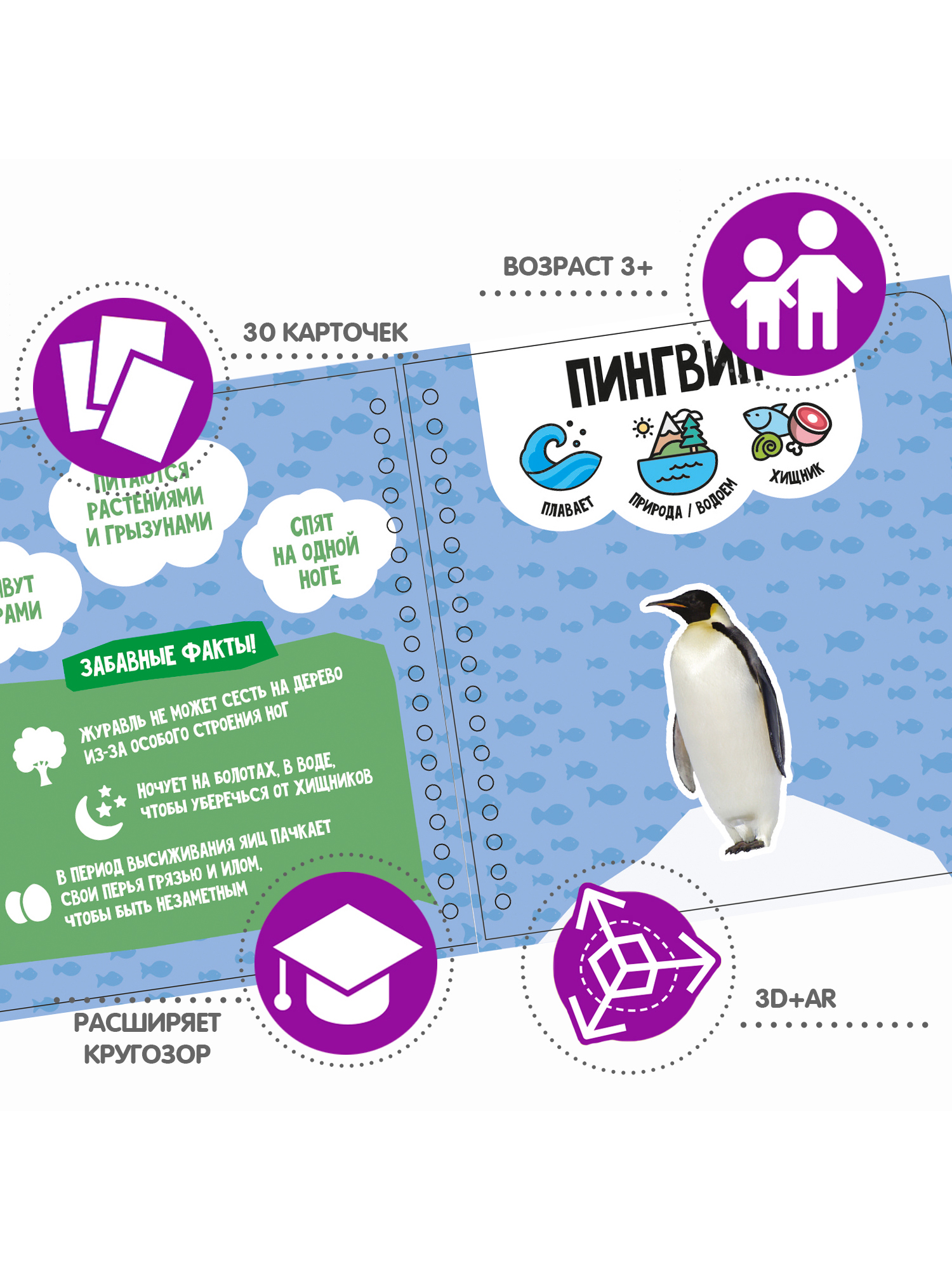 Настольная игра Bondibon в дорогу Изучаем животных AR - фото 2