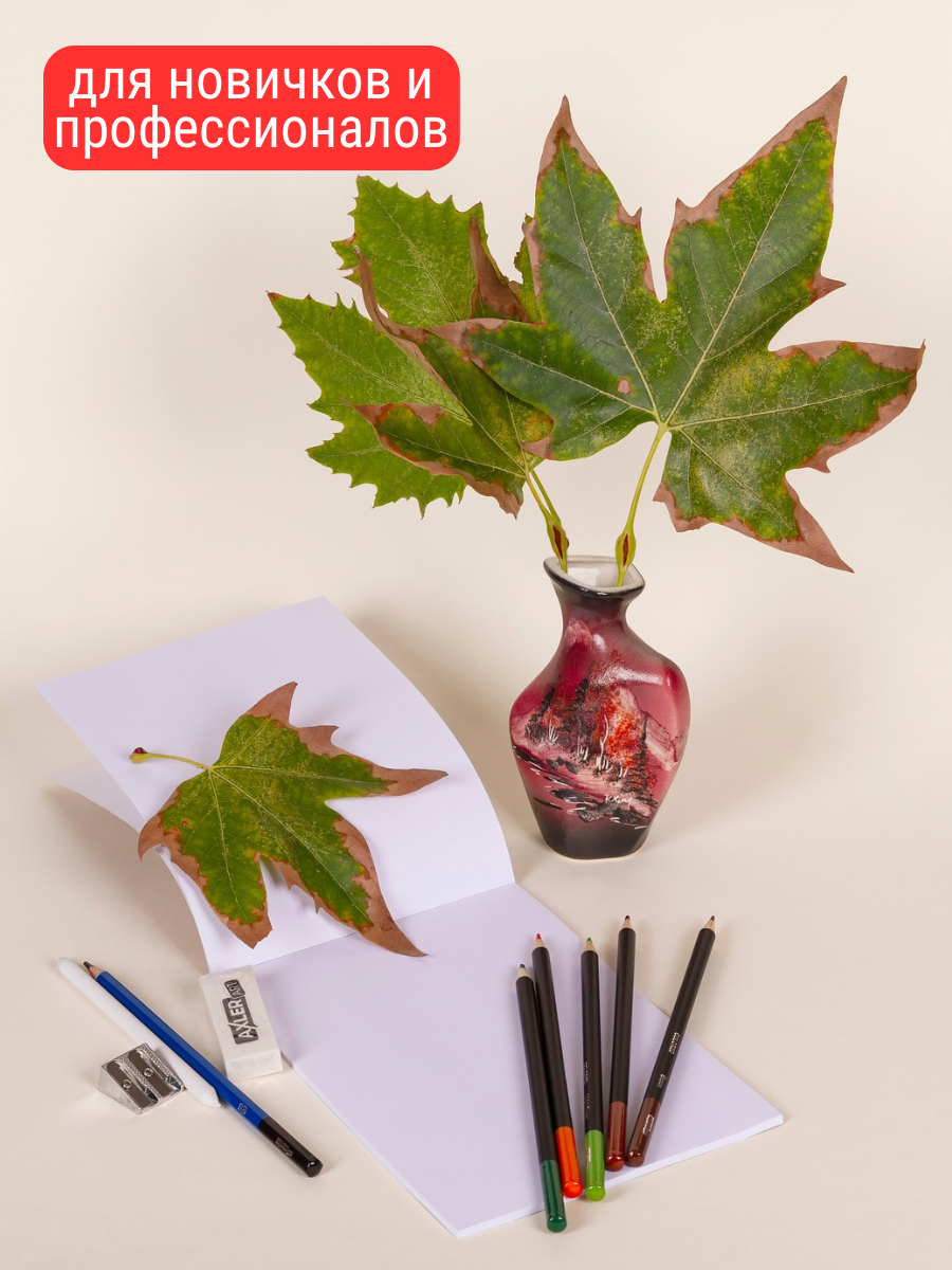 Карандаши эскизные AXLER 71 шт. - фото 8