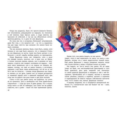 Книга ЭНАС-книга Истории из щенячьей жизни : рассказы