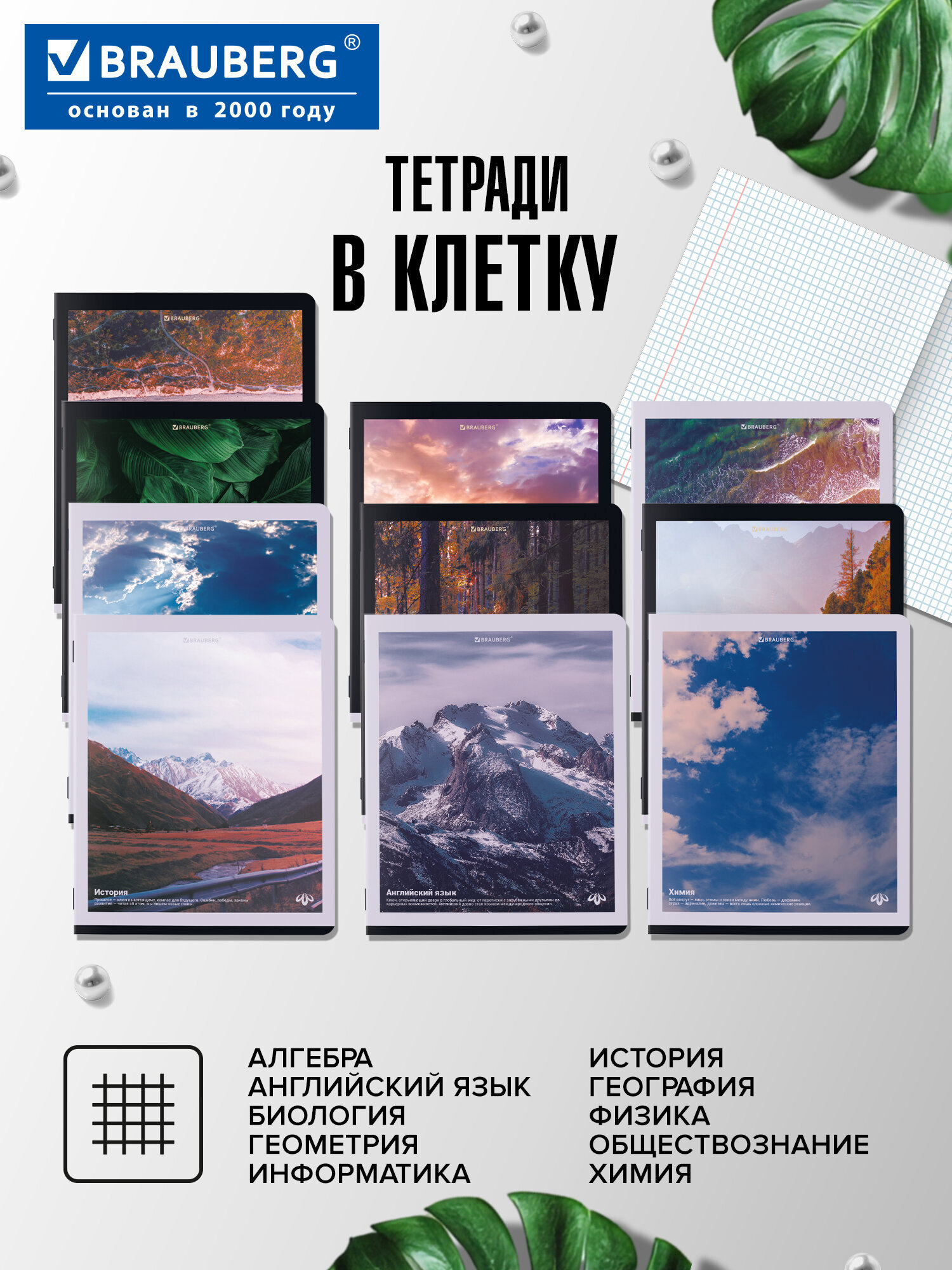 Тетрадь Brauberg 48 лист. 12 шт. - фото 2