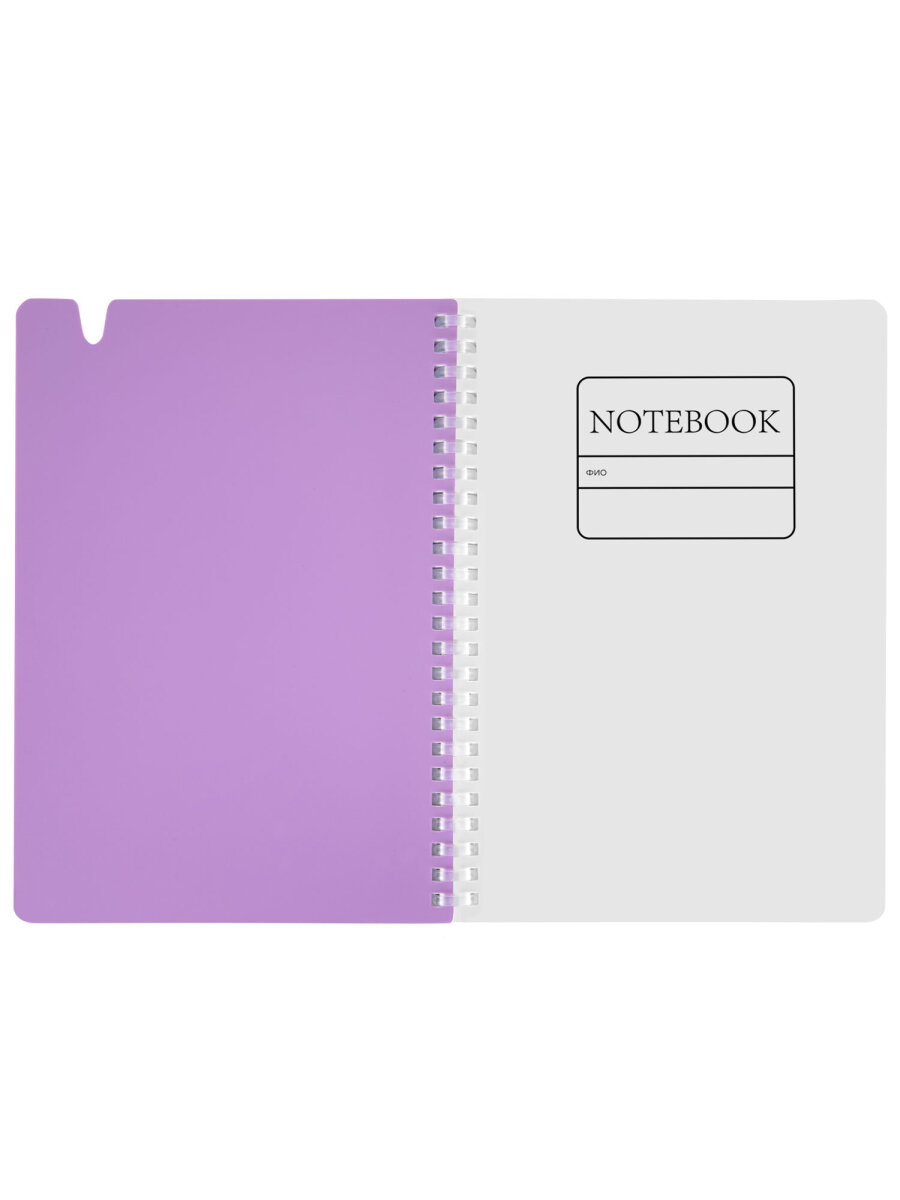 Общая тетрадь Brauberg клетка 80 лист. - фото 5