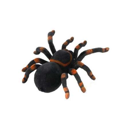Паук РУ Cute Sunlight Toys Tarantula