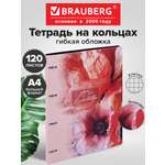 Тетрадь со сменным блоком Brauberg клетка 120 лист.