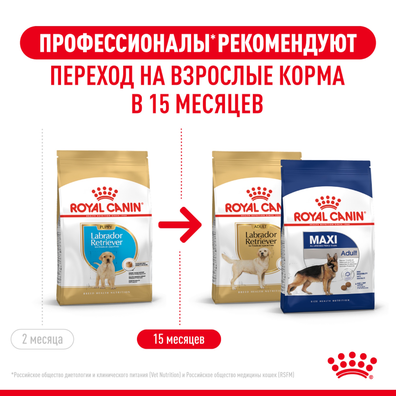 Корм для щенков ROYAL CANIN Labrador Retriever Puppy породы лабрадор ретривер 12кг - фото 5