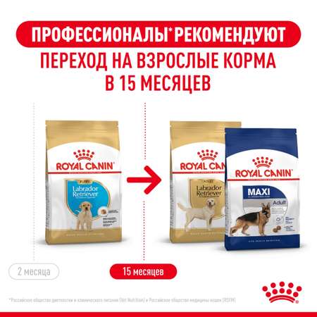 Корм для щенков ROYAL CANIN Labrador Retriever Puppy породы лабрадор ретривер 12кг