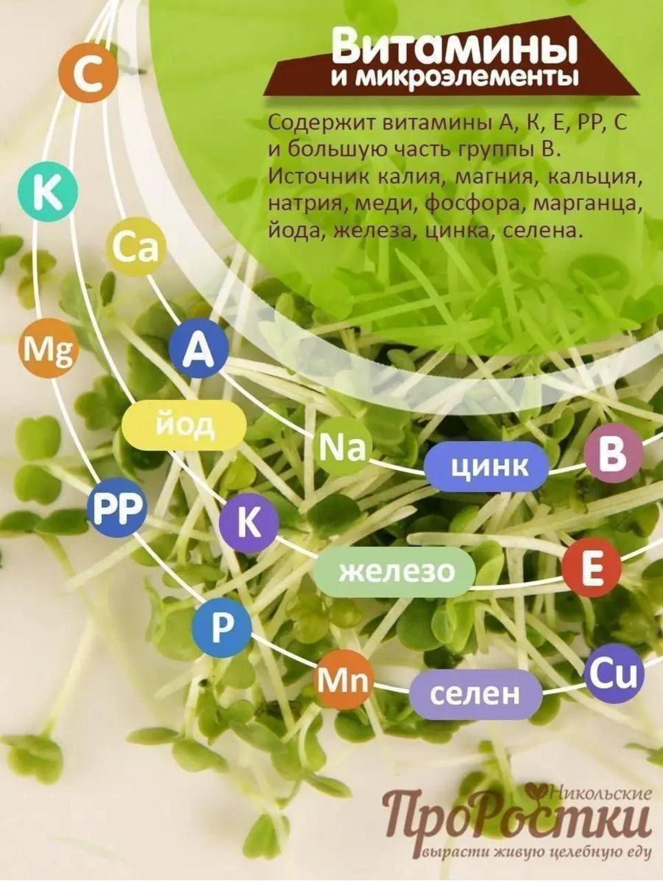 Семена для микрозелени MegaMedia рукола - фото 2