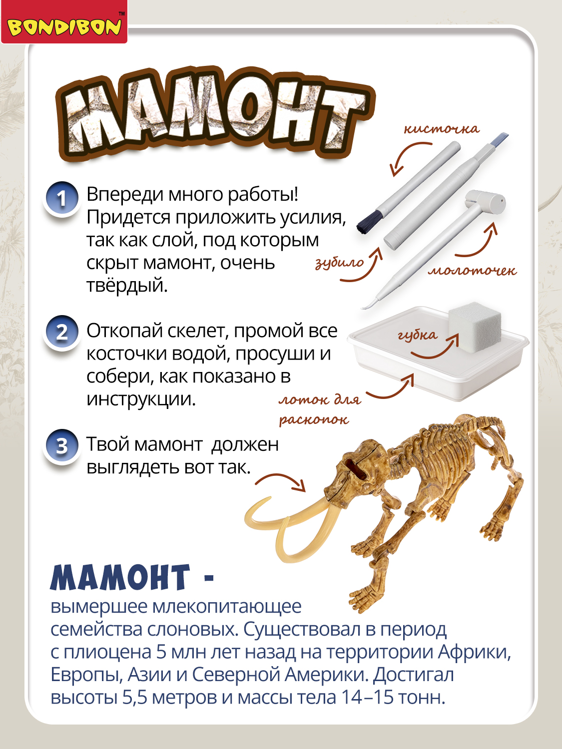 Набор для раскопок Bondibon Мамонт Французские опыты - фото 10