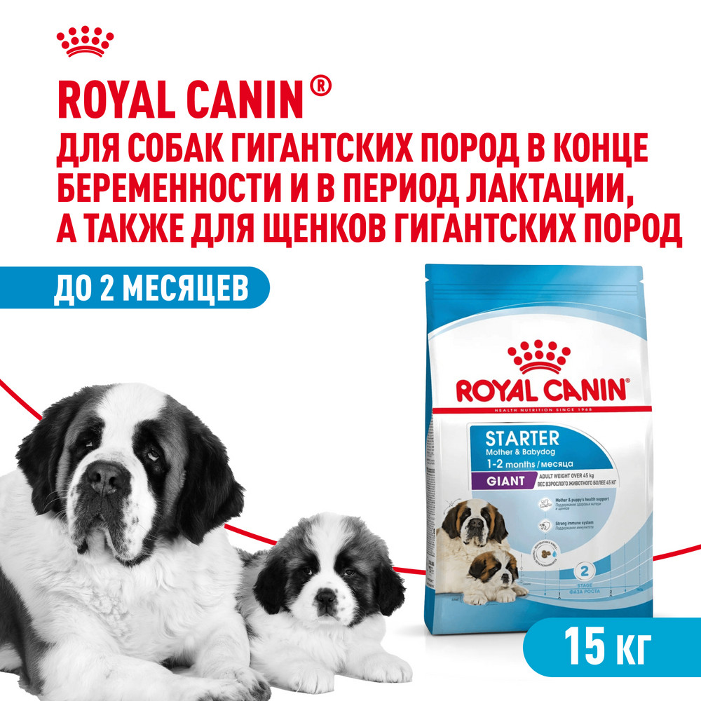 Корм для щенков ROYAL CANIN Starter очень крупных пород 15кг - фото 1